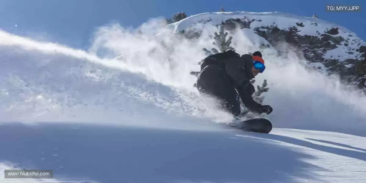 体育周边，冠军同款，你的专属装备库！🏆🎯