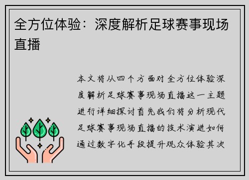 全方位体验：深度解析足球赛事现场直播